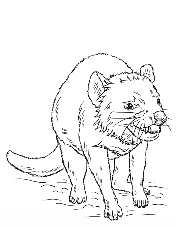 Desenho de Animais Ameaçados para colorir