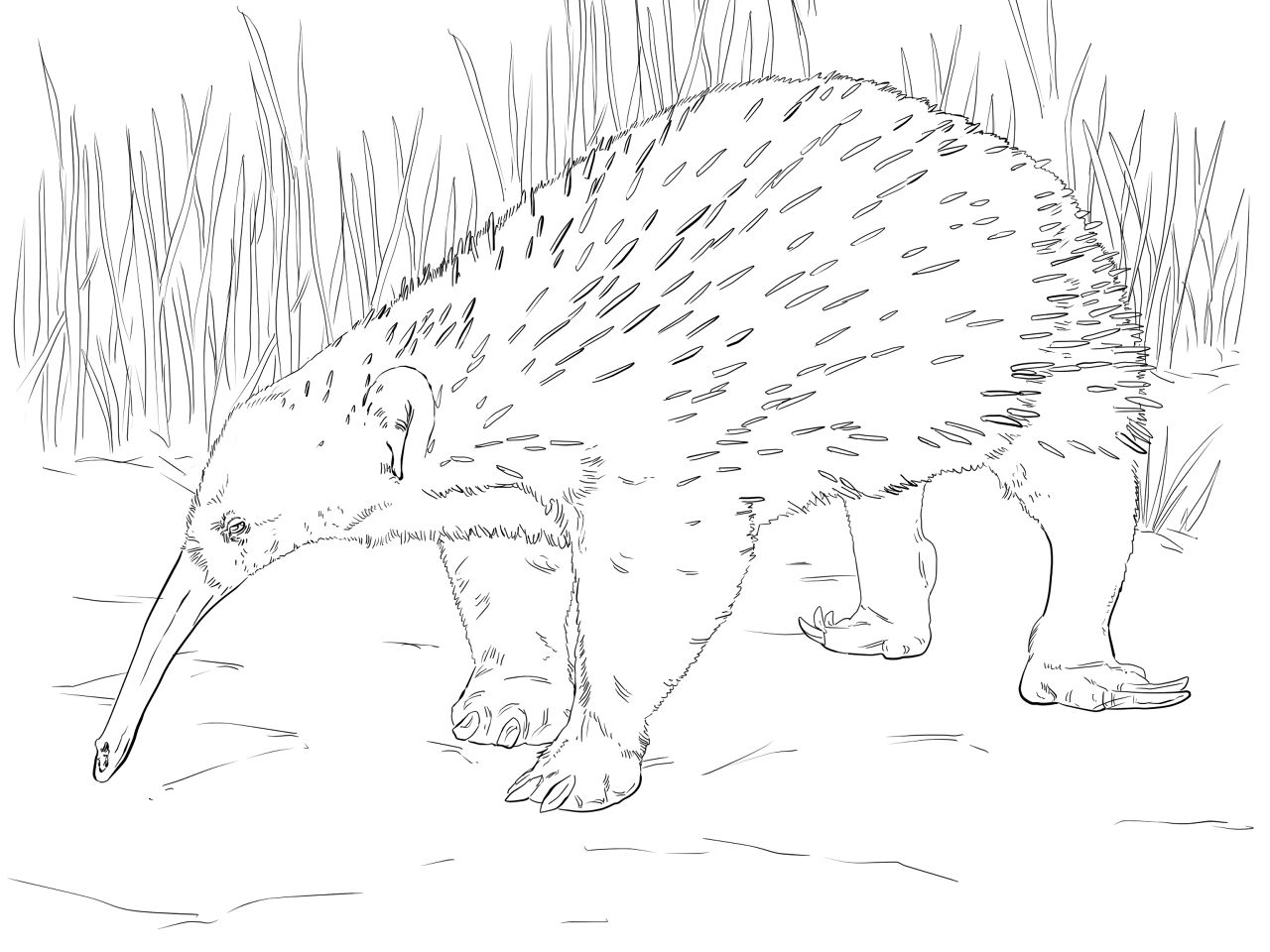 Desenho de Animais Ameaçados para colorir