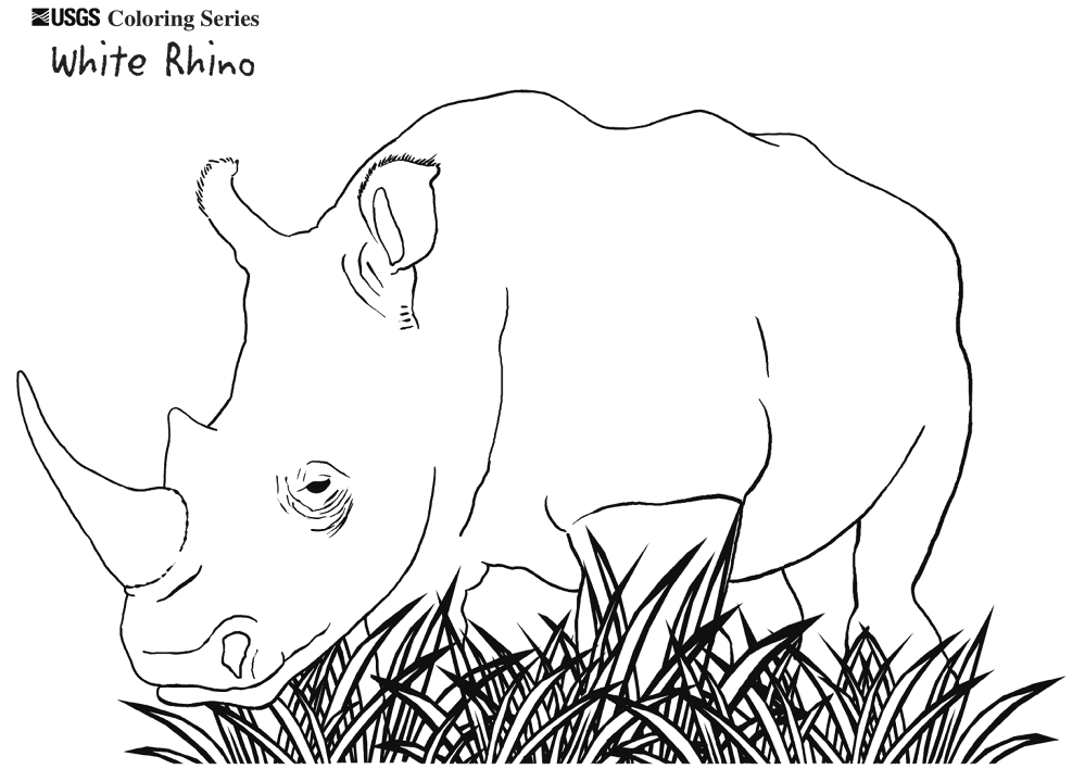 Desenho de Animais Ameaçados para colorir