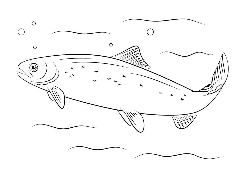Desenho de Animais Árticos para colorir e imprimir: número 12