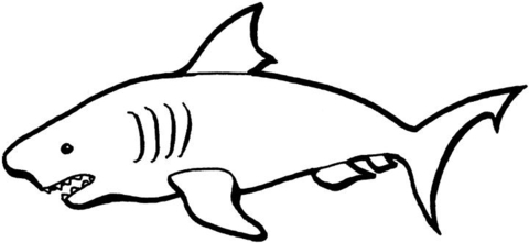 Desenho de Animais Australianos para colorir e imprimir: número 3