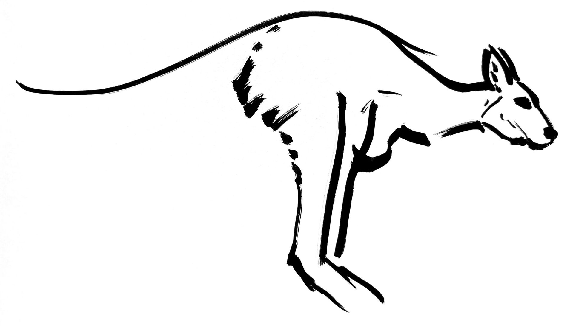 Desenho de Animais Australianos para colorir e imprimir: número 43