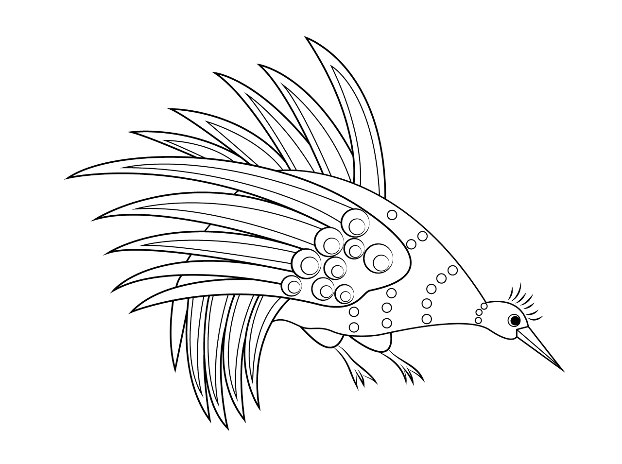 Desenho de Animais Australianos para colorir