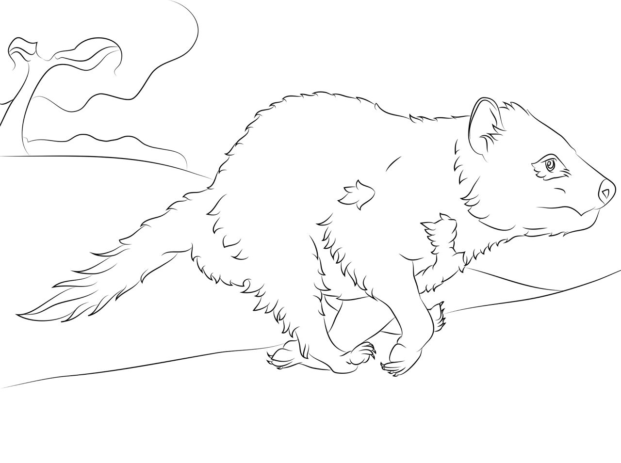 Desenho de Animais Australianos para colorir