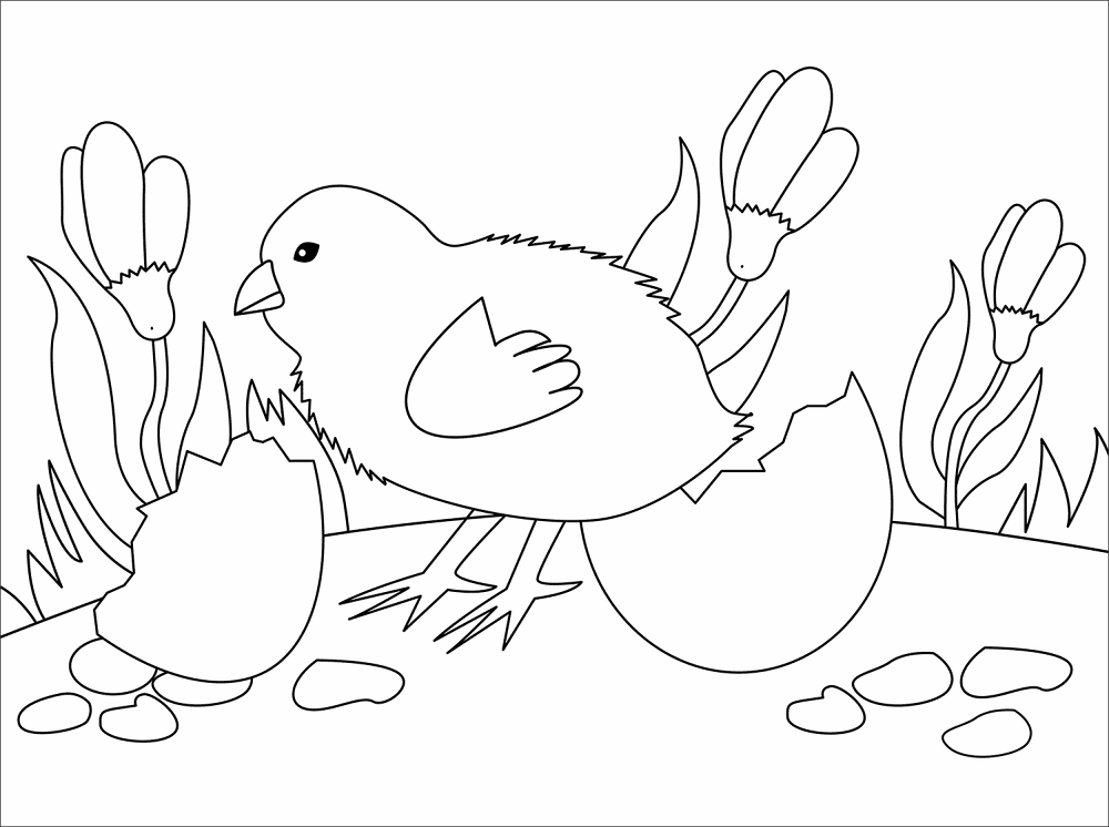 Desenho de Animais Bebês para colorir e imprimir: número 5