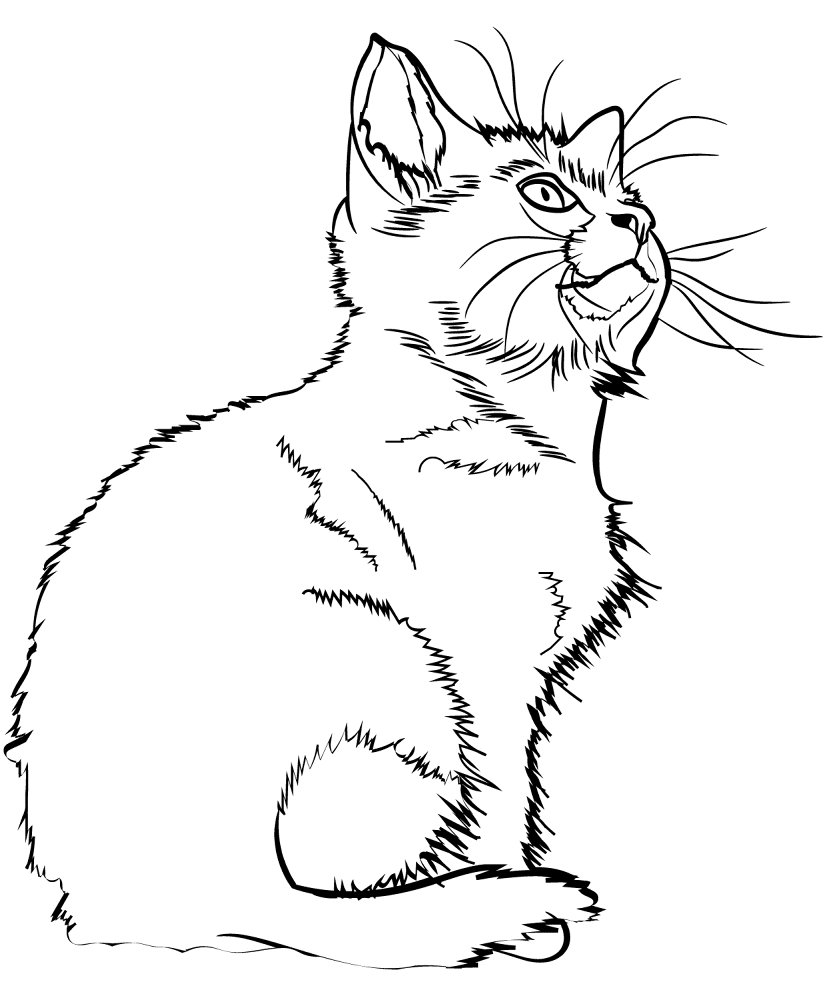 Desenho de Animais Bebês para colorir e imprimir: número 6