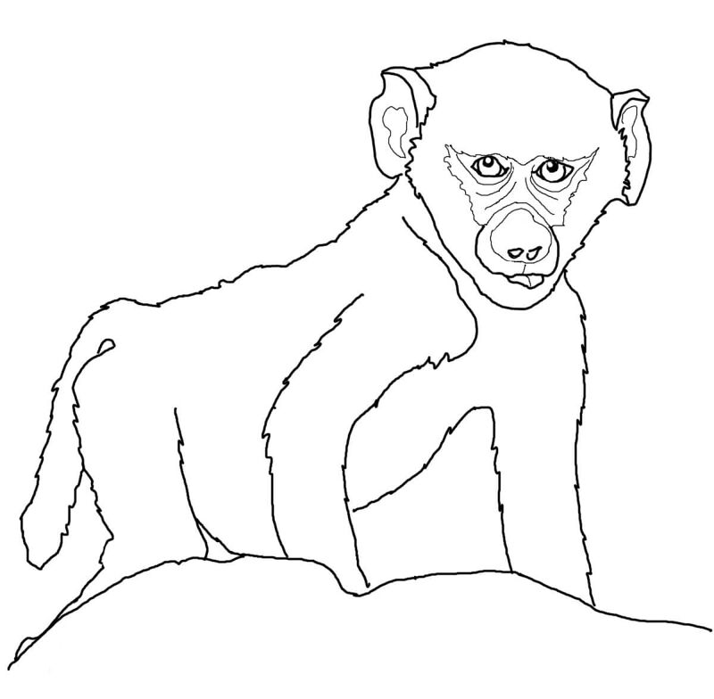Desenho de Animais Bebês para colorir e imprimir: número 7