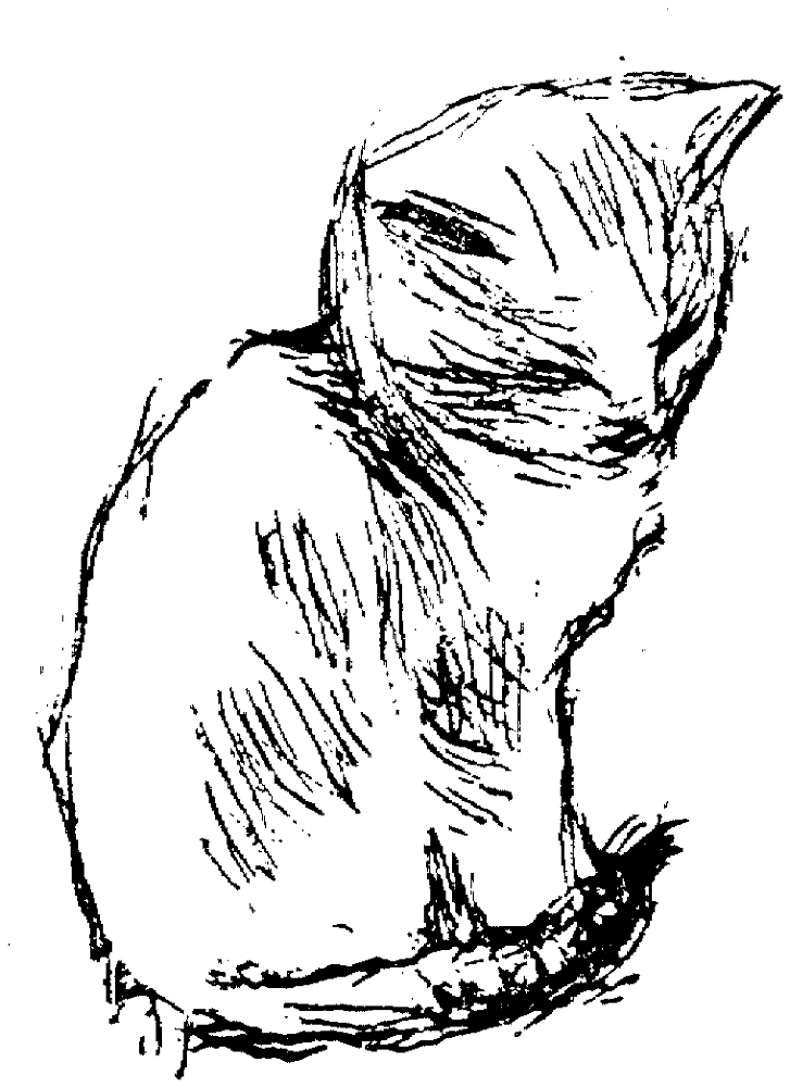 Desenho de Animais Bebês para colorir e imprimir: número 29