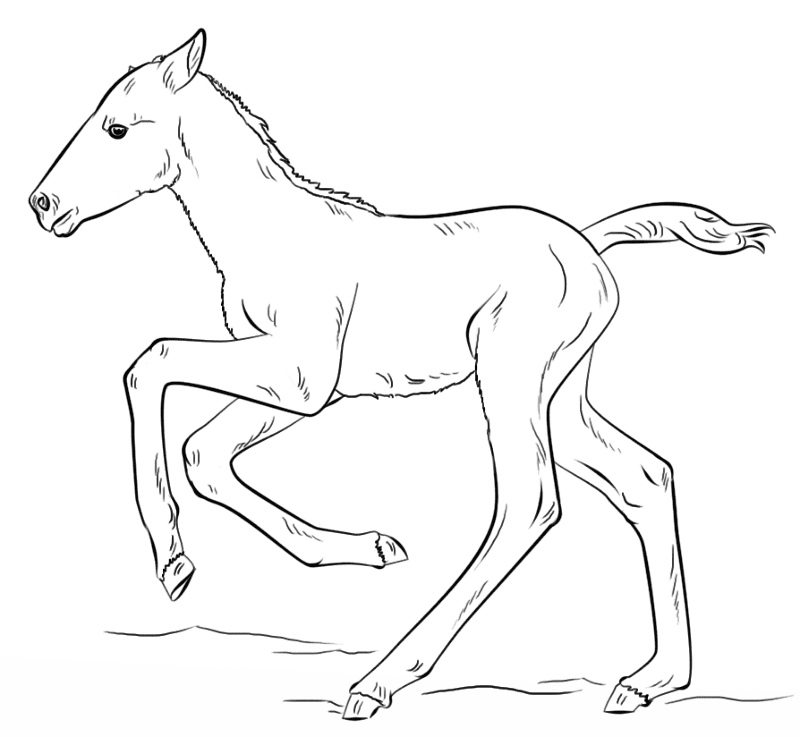 Desenho de Animais Bebês para colorir e imprimir: número 46