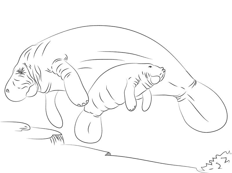 Desenho de Animais Bebês para colorir