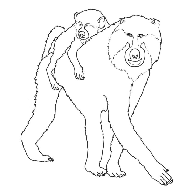 Desenho de Animais Bebês para colorir