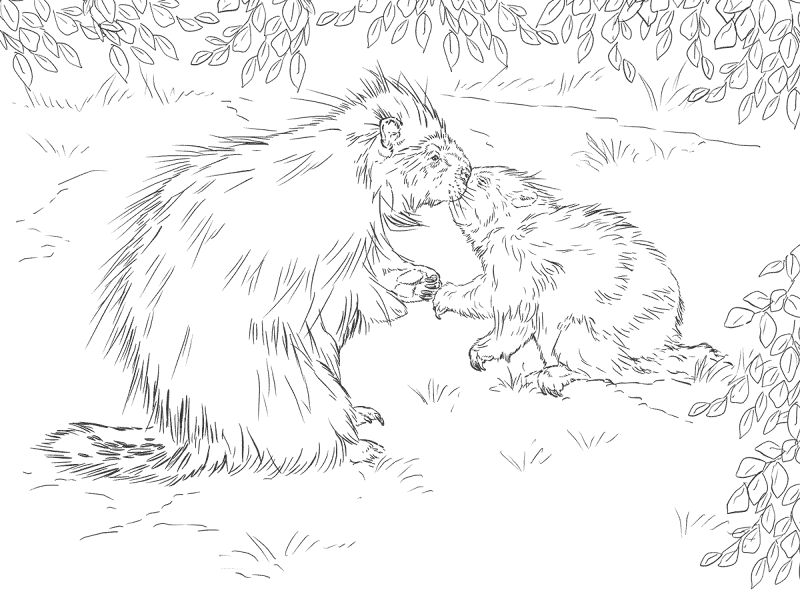 Desenho de Animais Bebês para colorir