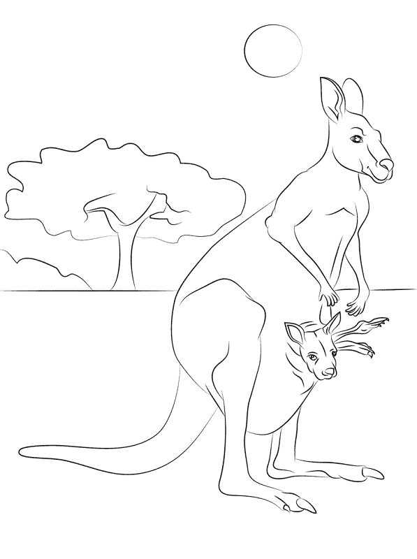 Desenho de Animais Bebês para colorir