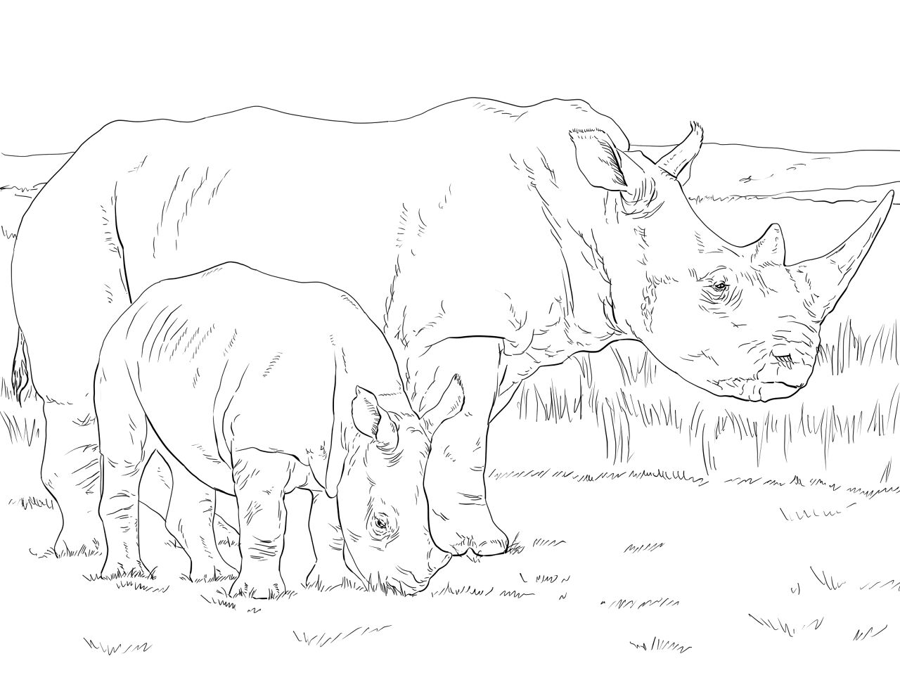 Desenho de Animais Bebês para colorir