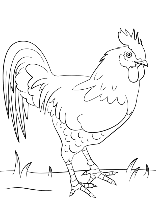 Desenho de Animais Da Fazenda para colorir e imprimir: número 21