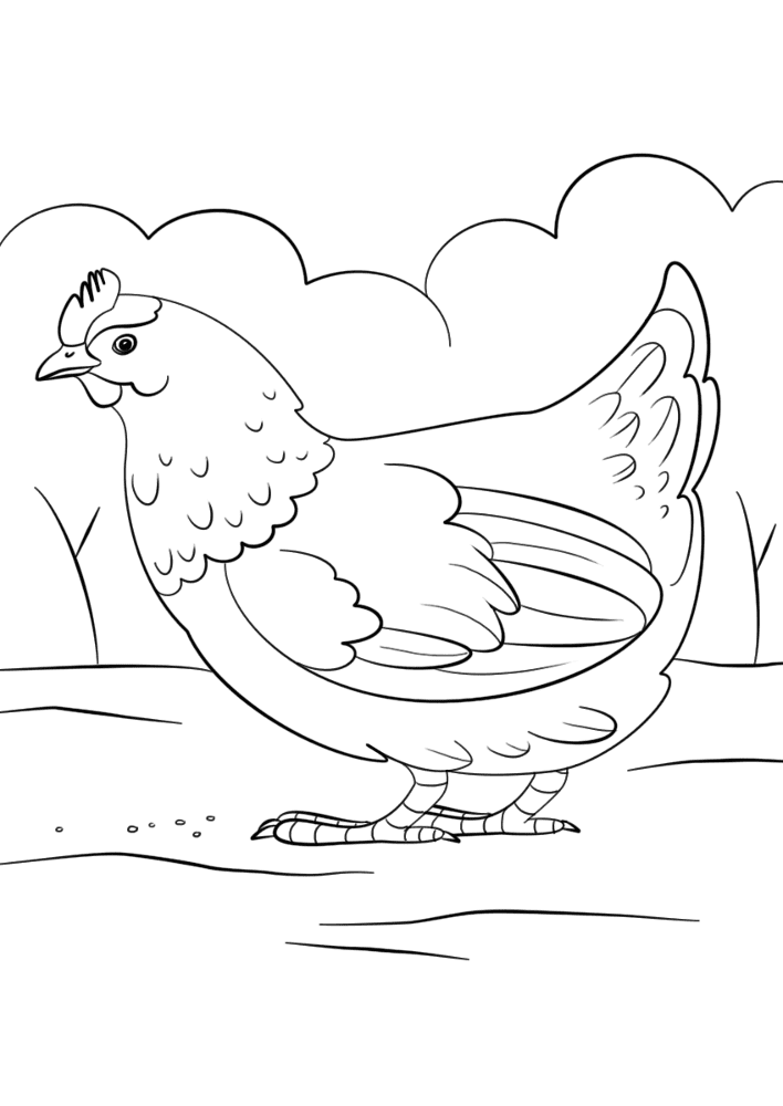 Desenho de Animais Da Fazenda para colorir e imprimir: número 22