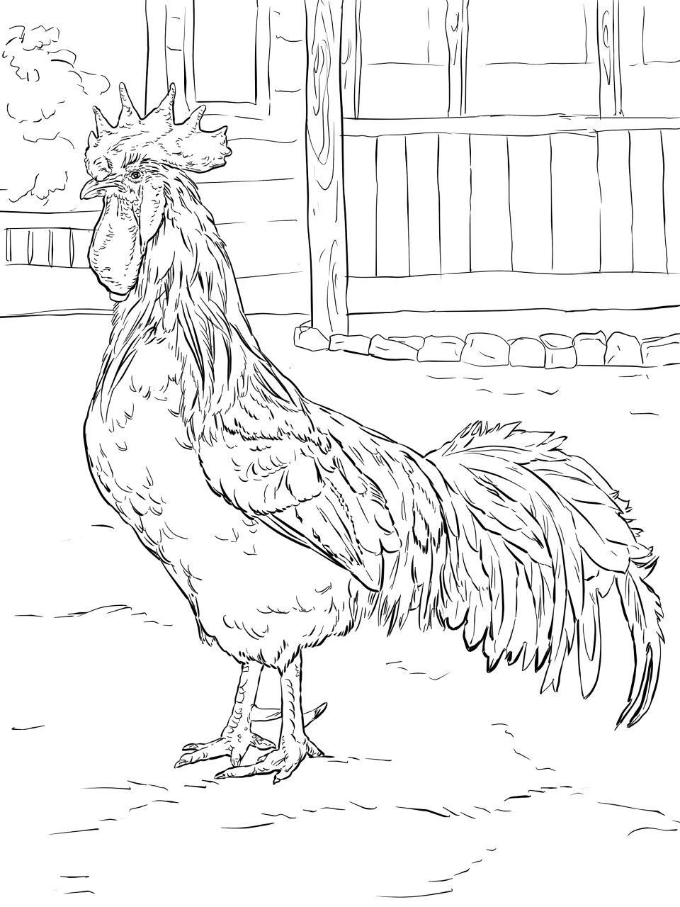 Desenho de Animais Da Fazenda para colorir e imprimir: número 29