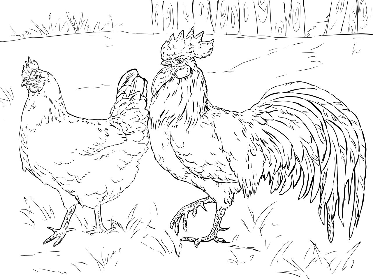 Desenho de Animais Da Fazenda para colorir
