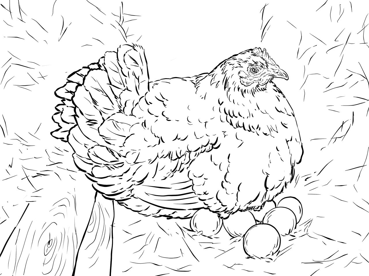 Desenho de Animais Da Fazenda para colorir