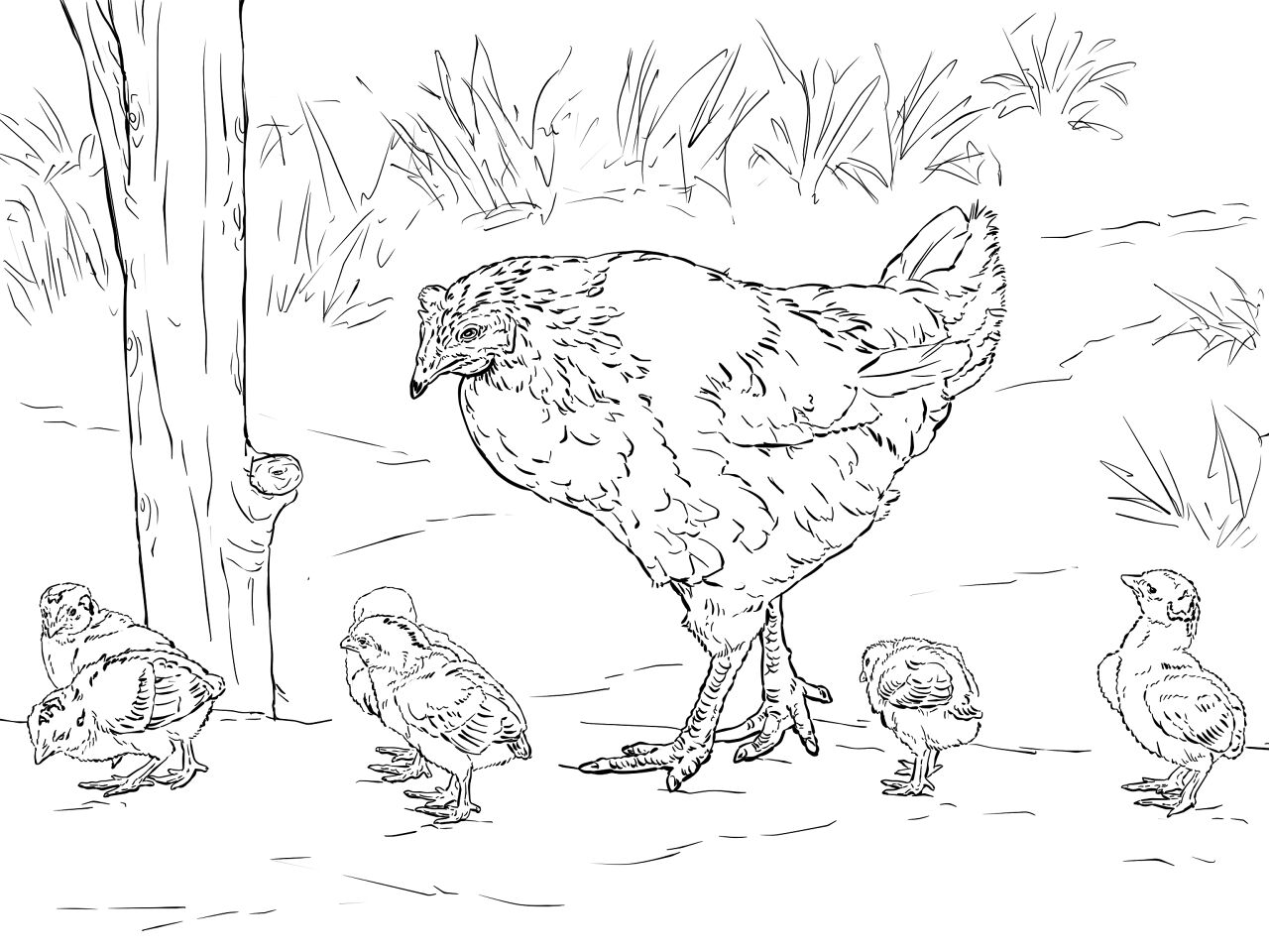 Desenho de Animais Da Fazenda para colorir