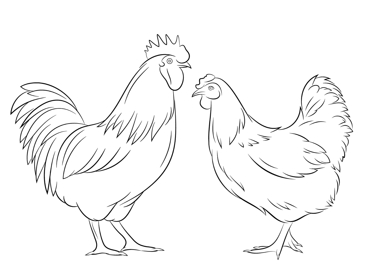 Desenho de Animais Da Fazenda para colorir
