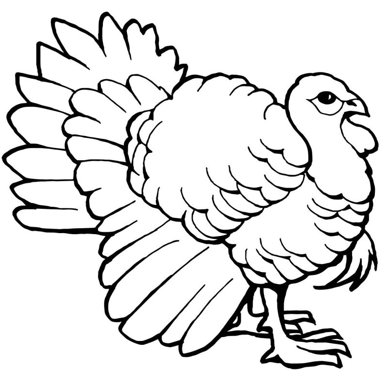Desenho de Animais Da Fazenda para colorir