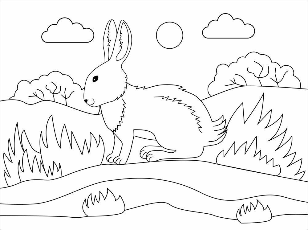 Desenho de Animais Da Floresta Tropical para colorir e imprimir: número 5