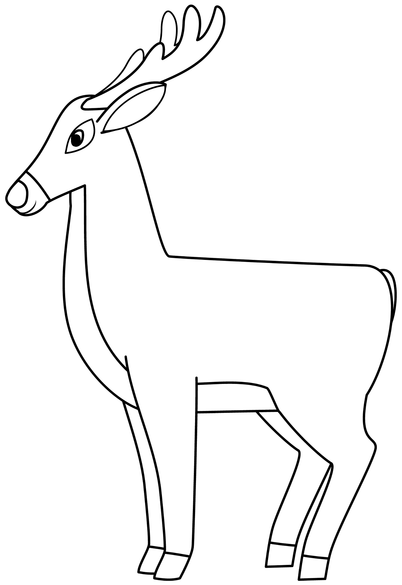 Desenho de Animais Da Floresta Tropical para colorir e imprimir: número 9