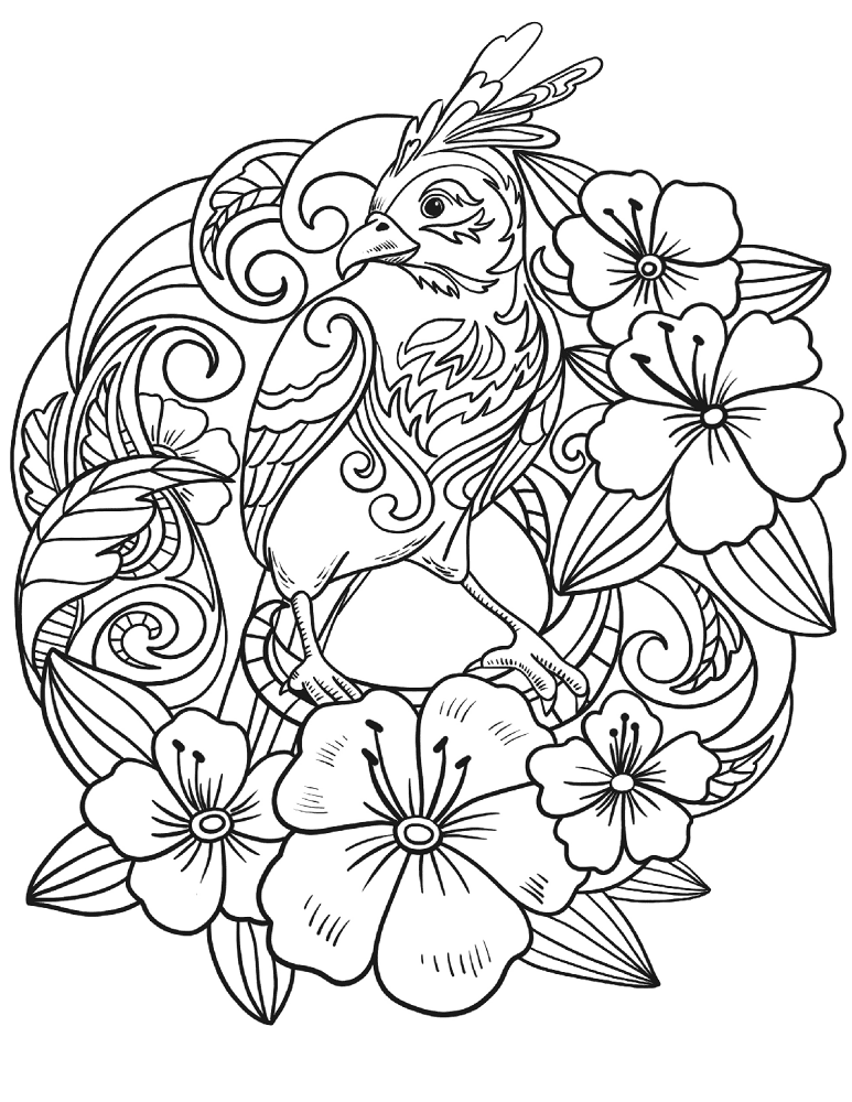 Desenho de Animais Da Floresta Tropical para colorir e imprimir: número 20