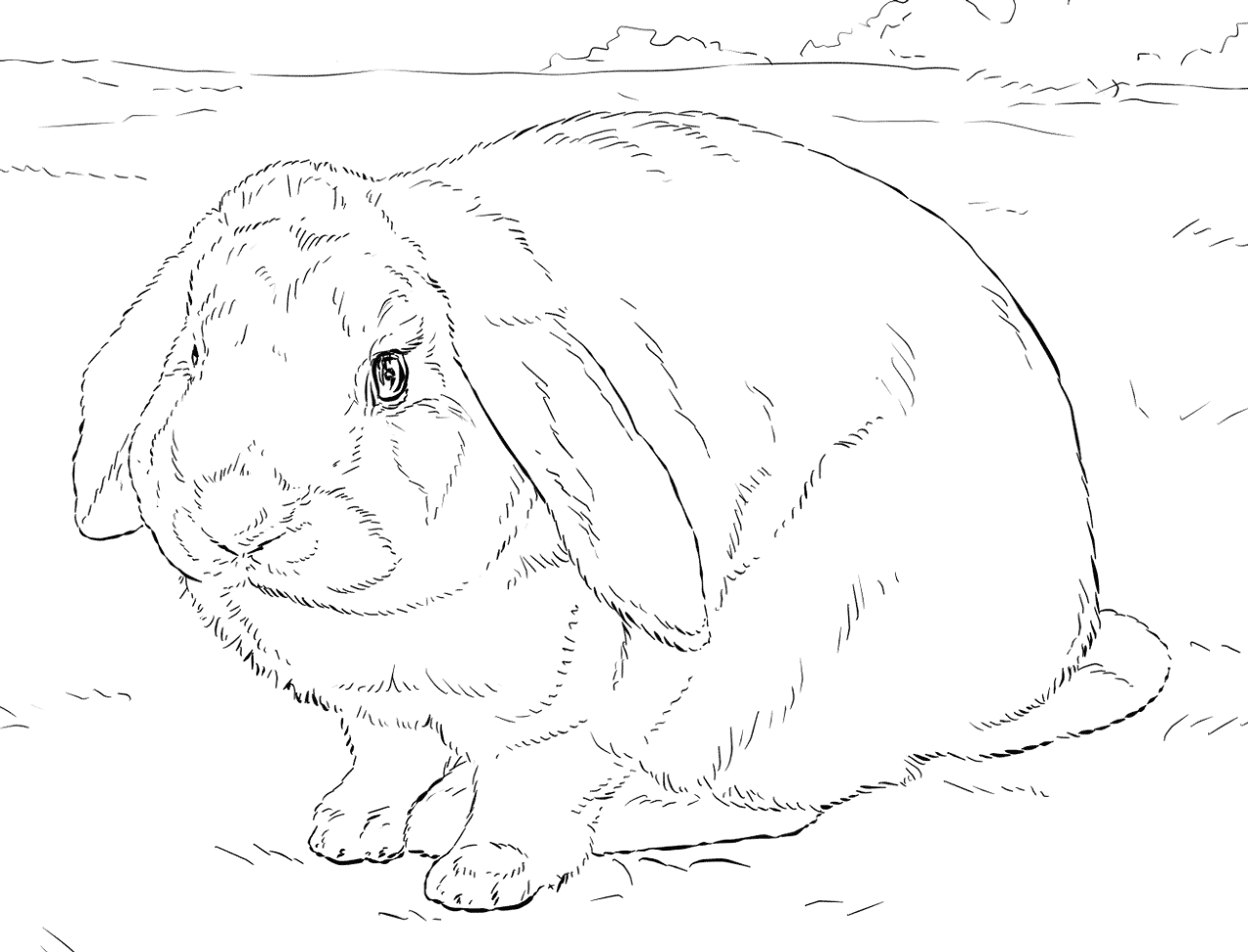 Desenho de Animais Da Floresta Tropical para colorir e imprimir: número 21