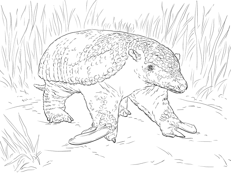 Desenho de Animais Da Floresta Tropical para colorir e imprimir: número 22