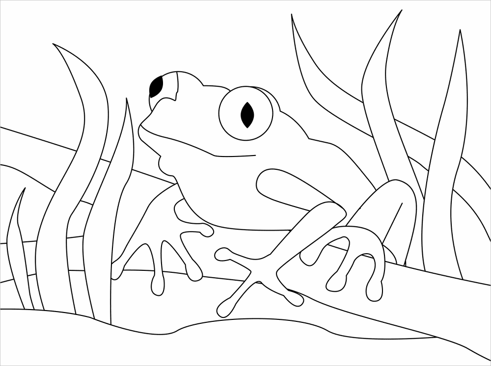 Desenho de Animais Da Floresta Tropical para colorir e imprimir: número 27