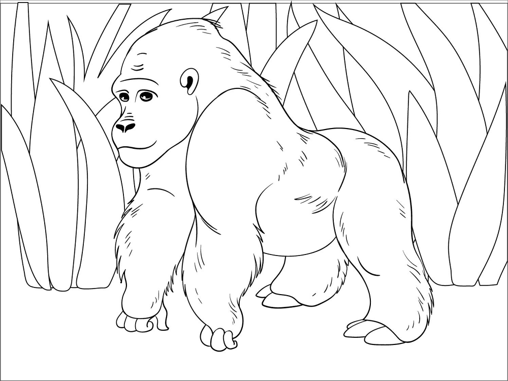 Desenho de Animais Da Selva para colorir e imprimir: número 4