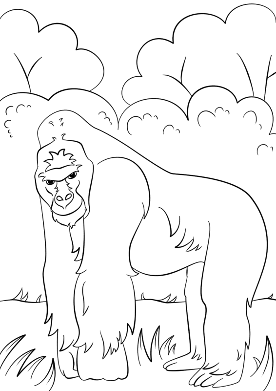 Desenho de Animais Da Selva para colorir e imprimir: número 7