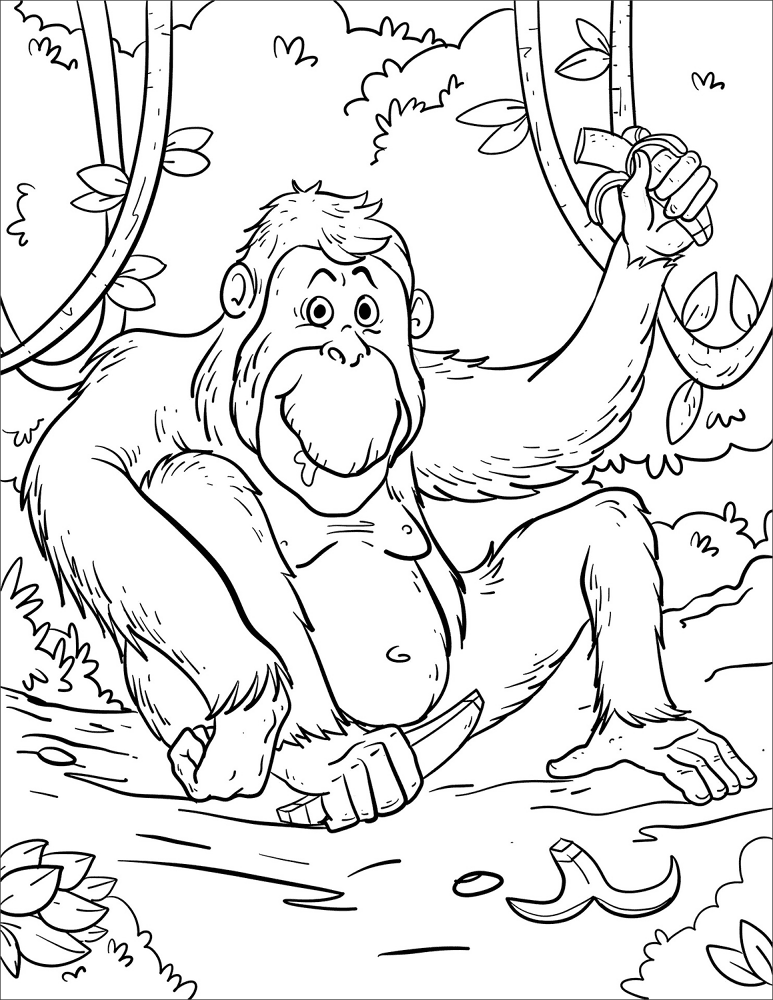 Desenho de Animais Da Selva para colorir e imprimir: número 16