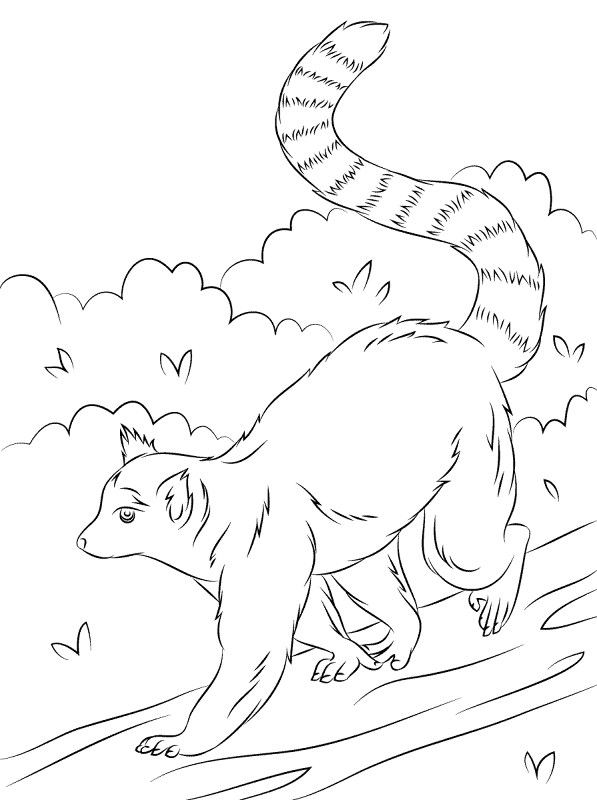 Desenho de Animais Da Selva para colorir e imprimir: número 19