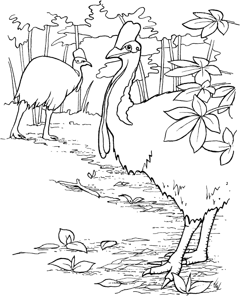 Desenho de Animais Da Selva para colorir e imprimir: número 20