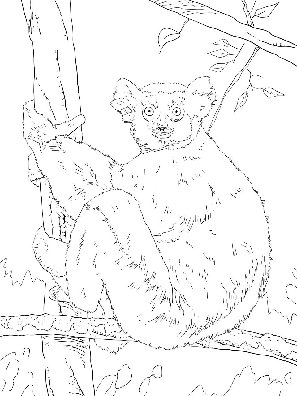 Desenho de Animais Da Selva para colorir e imprimir: número 28