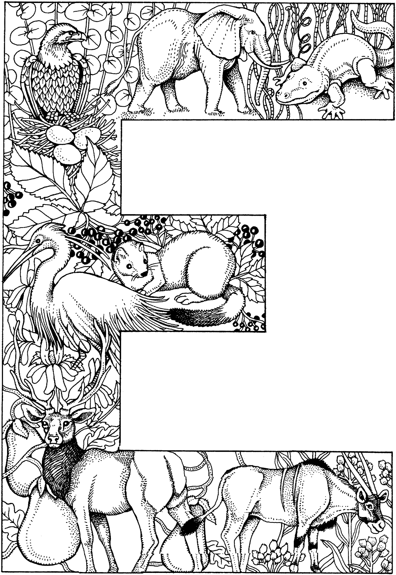 Desenho de Animais Da Selva para colorir e imprimir: número 30