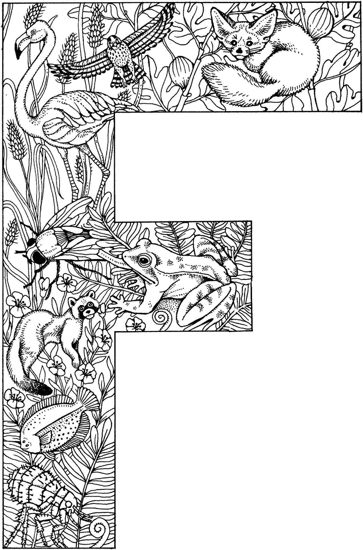 Desenho de Animais Da Selva para colorir e imprimir: número 31