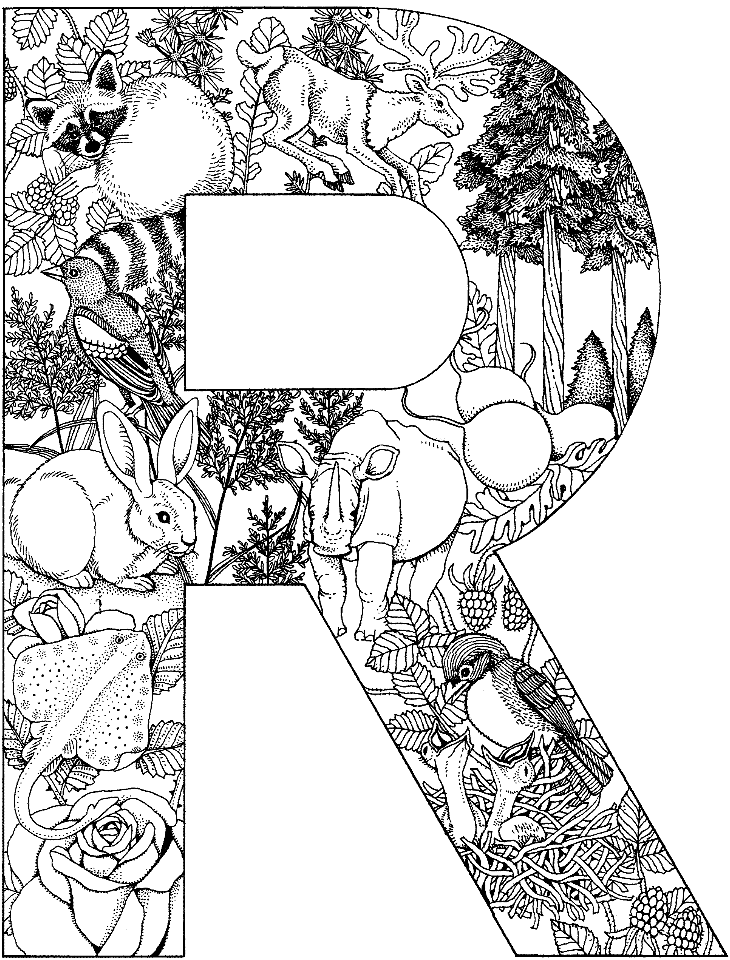 Desenho de Animais Da Selva para colorir e imprimir: número 34