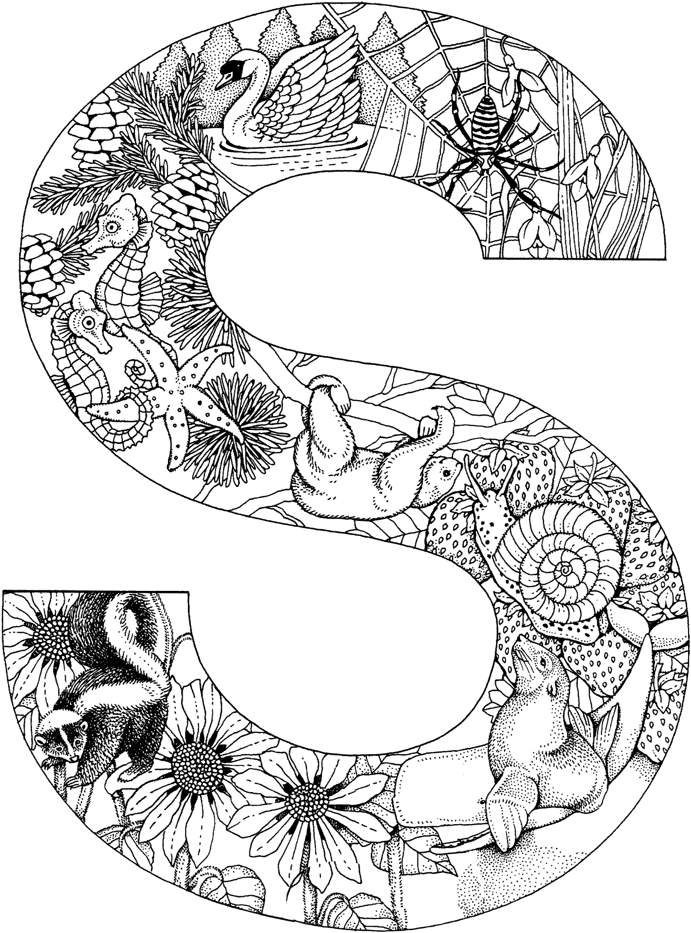 Desenho de Animais Da Selva para colorir e imprimir: número 35