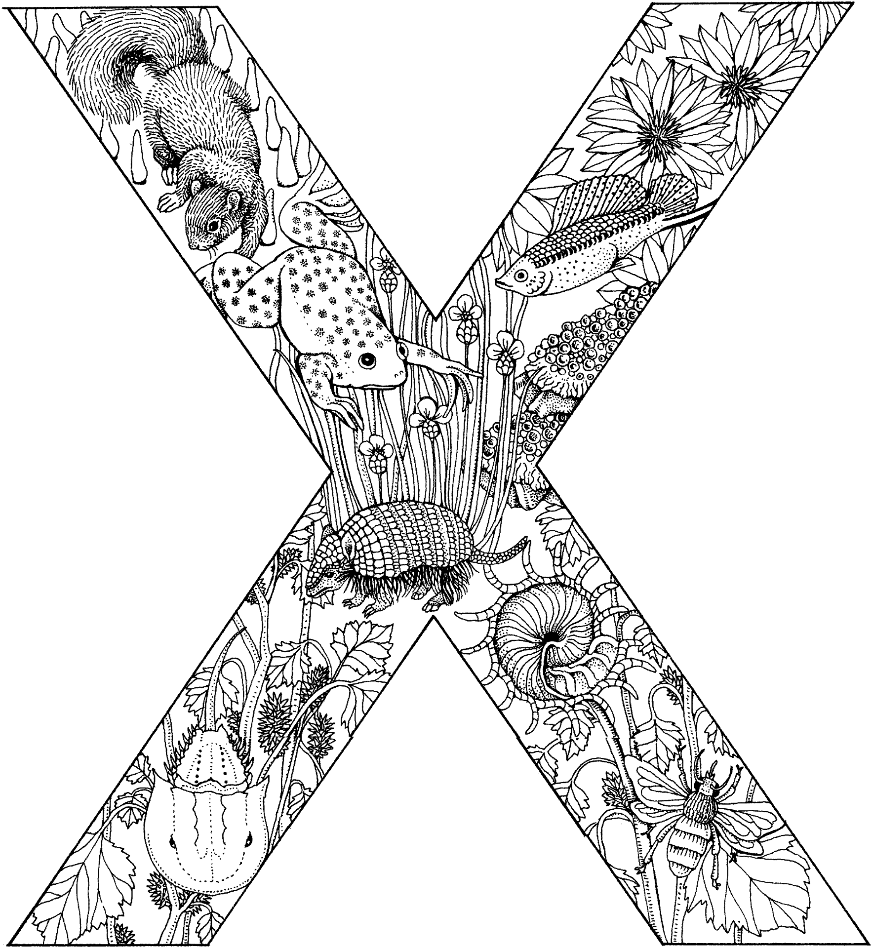 Desenho de Animais Da Selva para colorir e imprimir: número 36