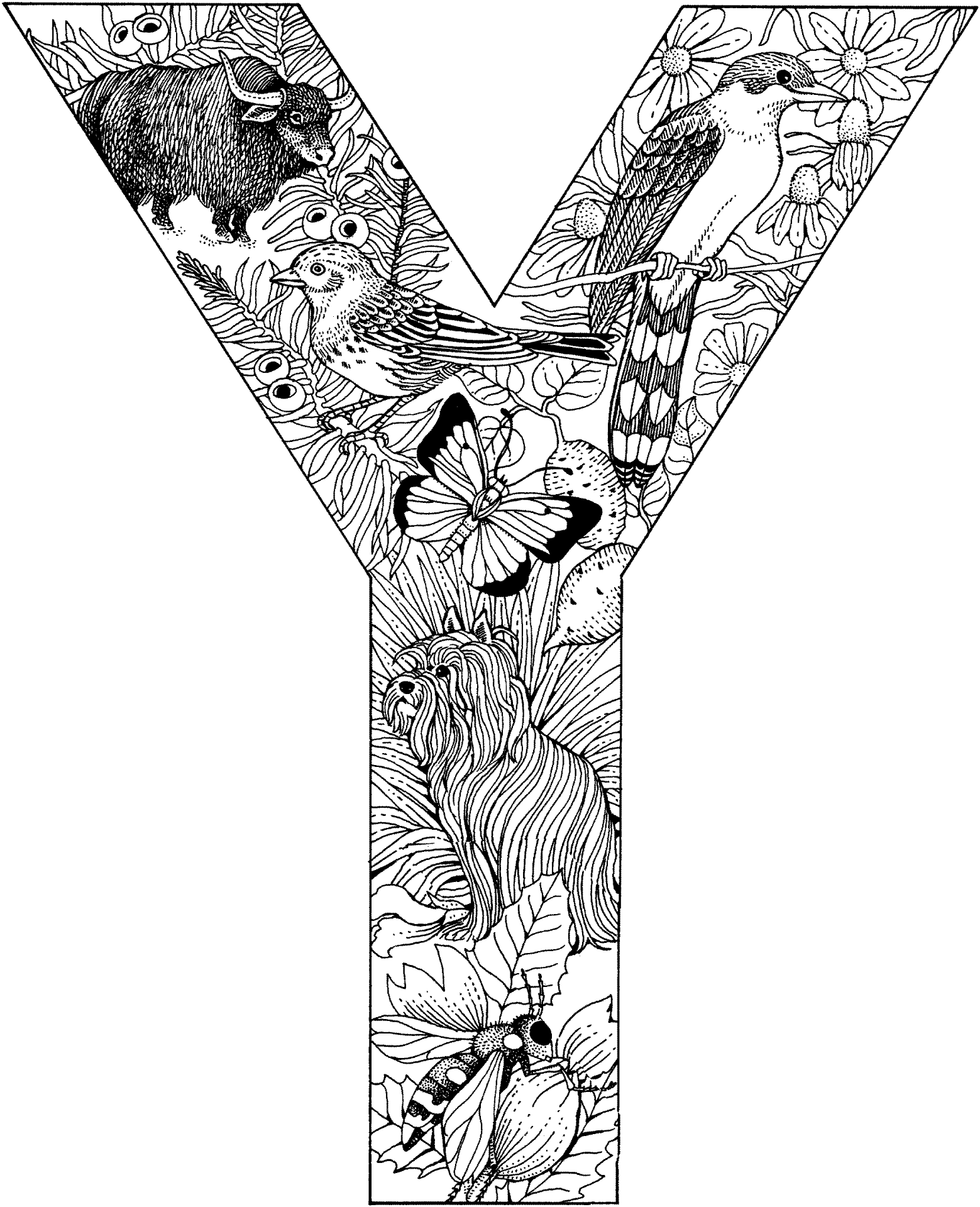 Desenho de Animais Da Selva para colorir e imprimir: número 37