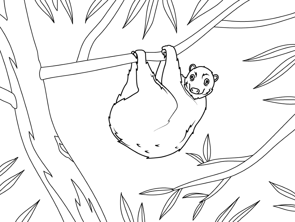 Desenho de Animais Da Selva para colorir e imprimir: número 41