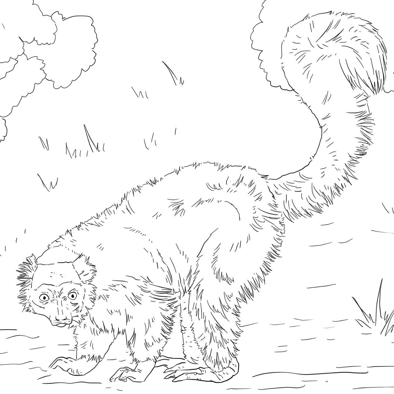 Desenho de Animais Da Selva para colorir e imprimir: número 48