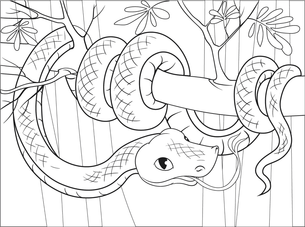 Desenho de Animais Da Selva para colorir