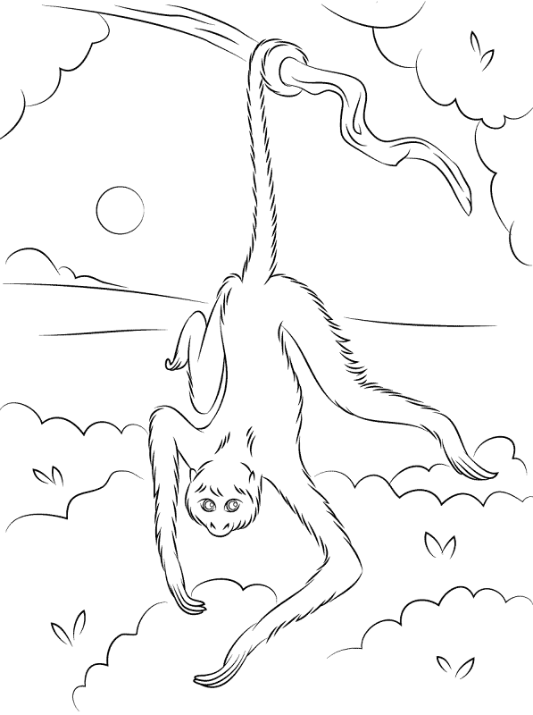 Desenho de Animais Da Selva para colorir