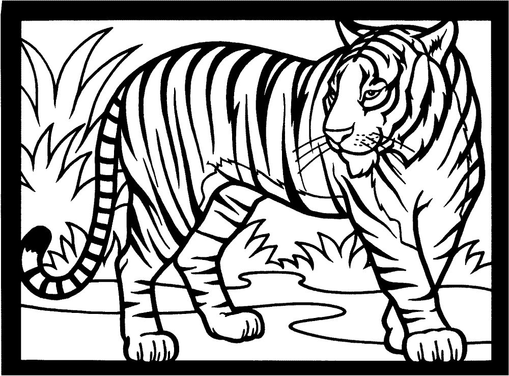 Desenho de Animais Da Selva para colorir