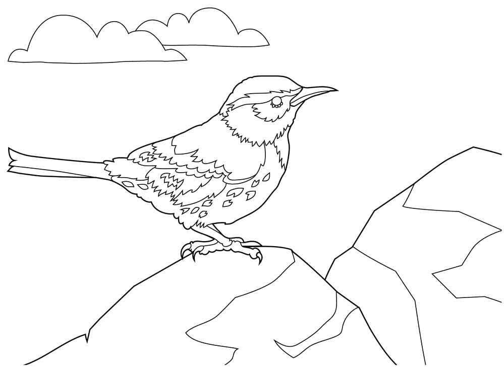 Desenho de Animais Do Deserto para colorir e imprimir: número 6
